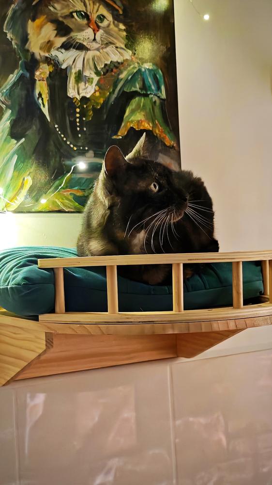 Chat avec tableau impressionniste
