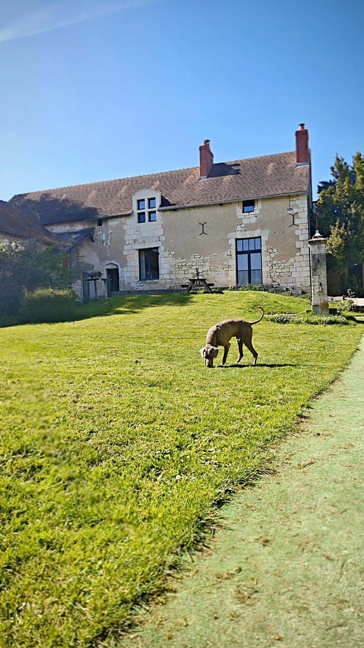 Le Manoir et son parc